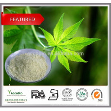 100% Natural top Quality Rubus Suavissimus extract /Sweet Tea Leaf Extract